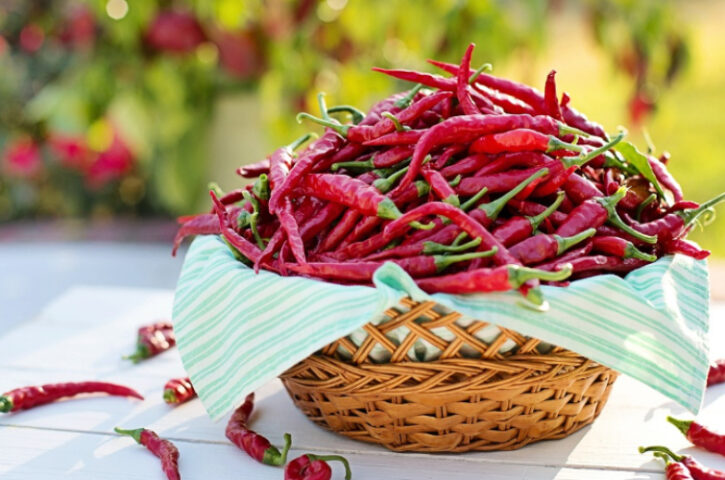 Todo lo que debes saber sobre los chiles chipotles